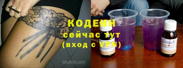дживик Абаза