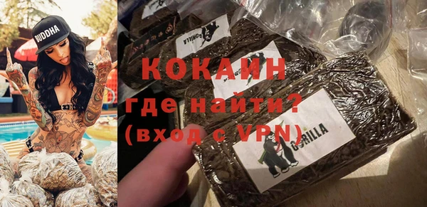 дживик Абаза