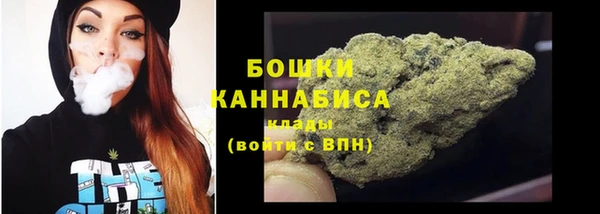 твердый Надым
