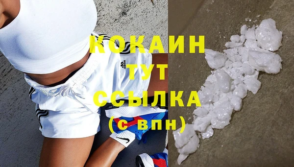 твердый Надым