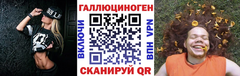 Галлюциногенные грибы Psilocybe  Серафимович 