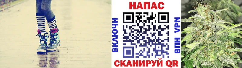 Каннабис ГИДРОПОН  Серафимович 